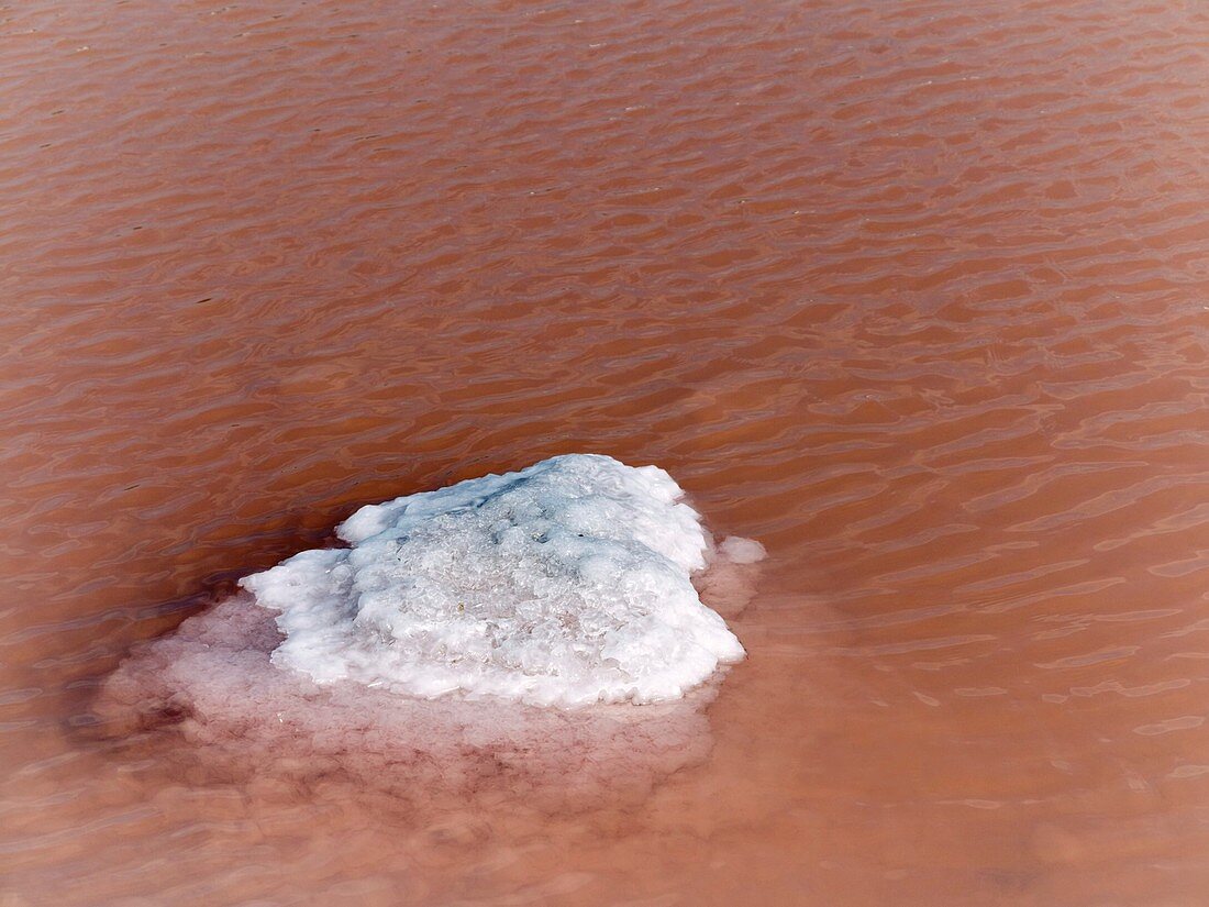 Salt in evaporation pond