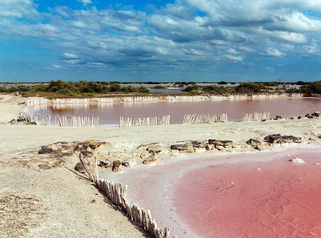 Salt evaporation ponds