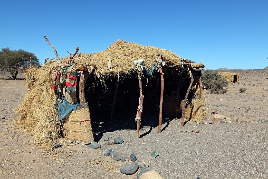 Desert shelter