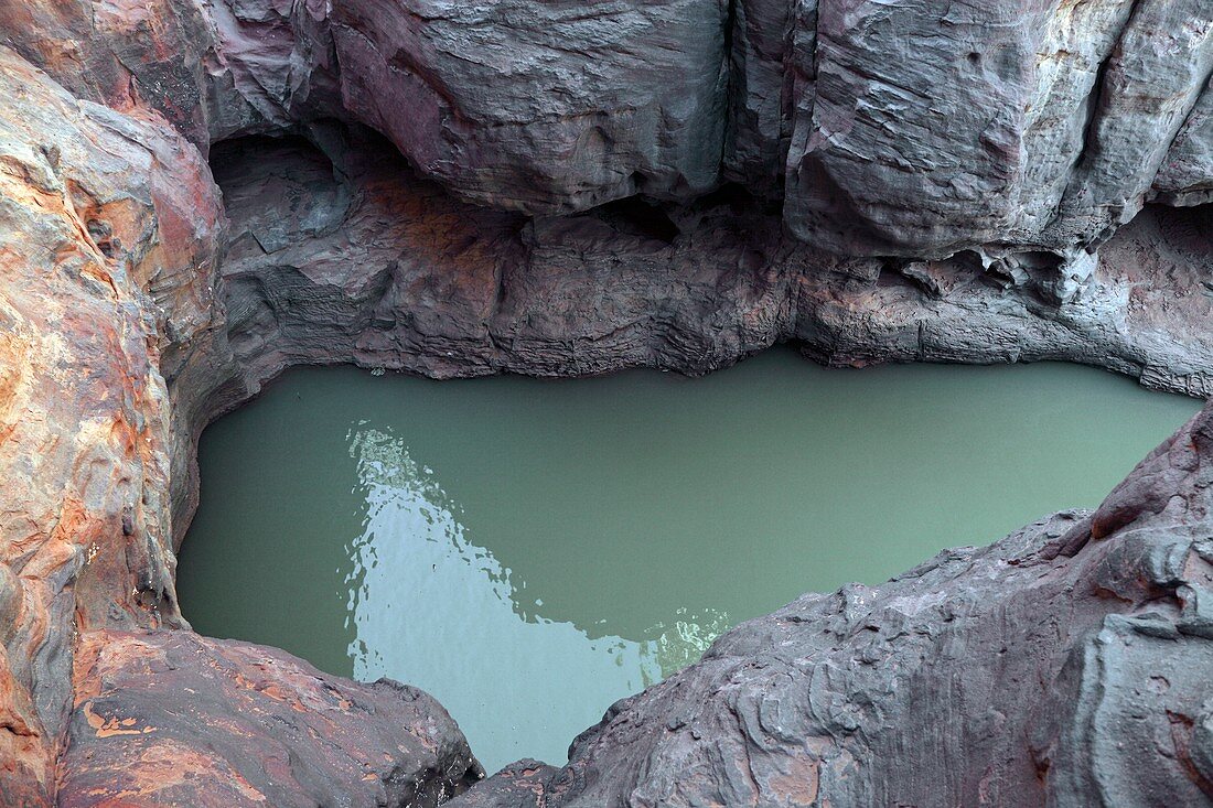 Desert water hole