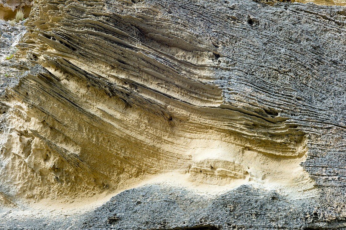 Layered calcareous sandstone,Blairgowrie