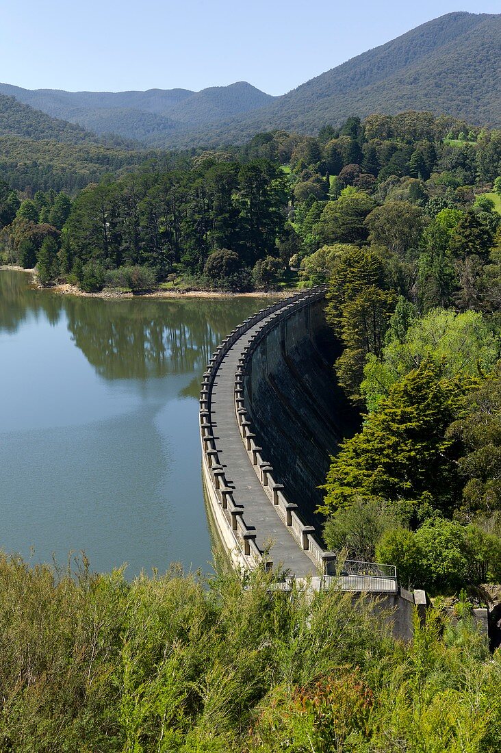 The dam wall of Maroondah reservoir