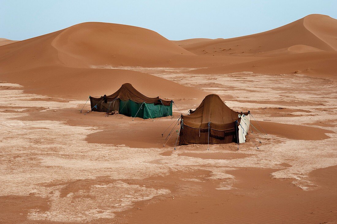 Bedouin tents and sand dunes