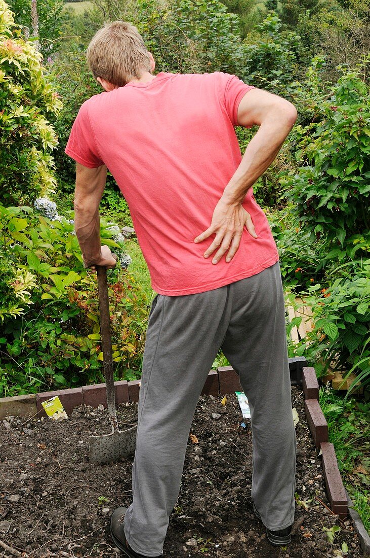 Back pain from gardening