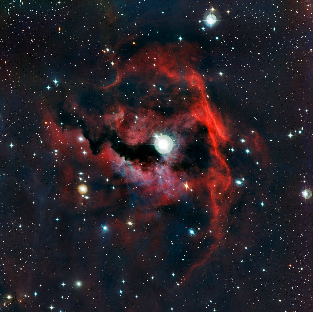 Head of Seagull Nebula
