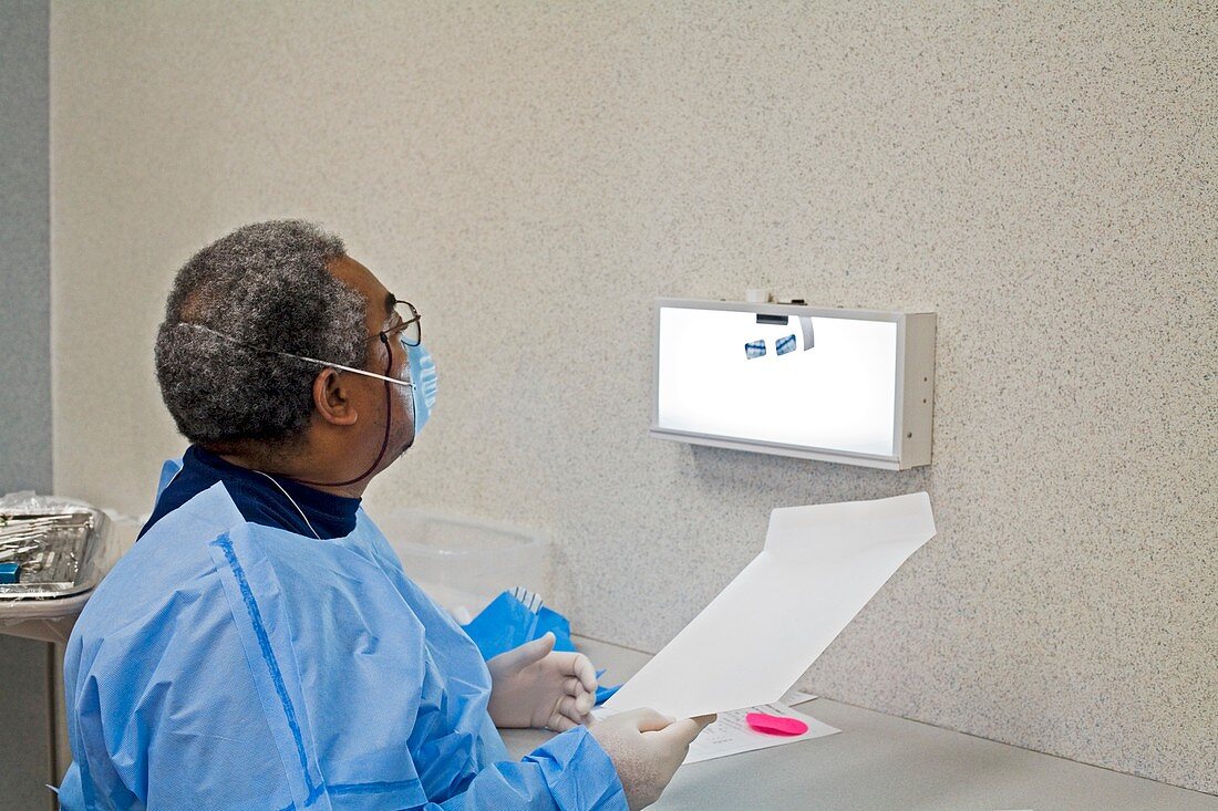 Examining tooth X-rays