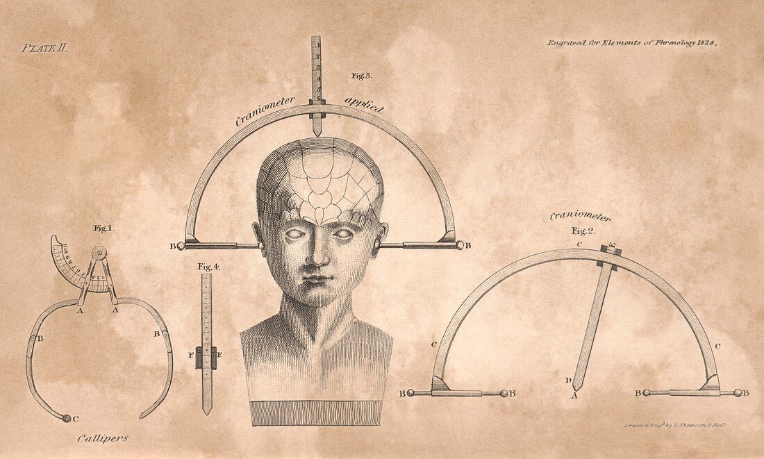 Phrenology measuring equipment,1828