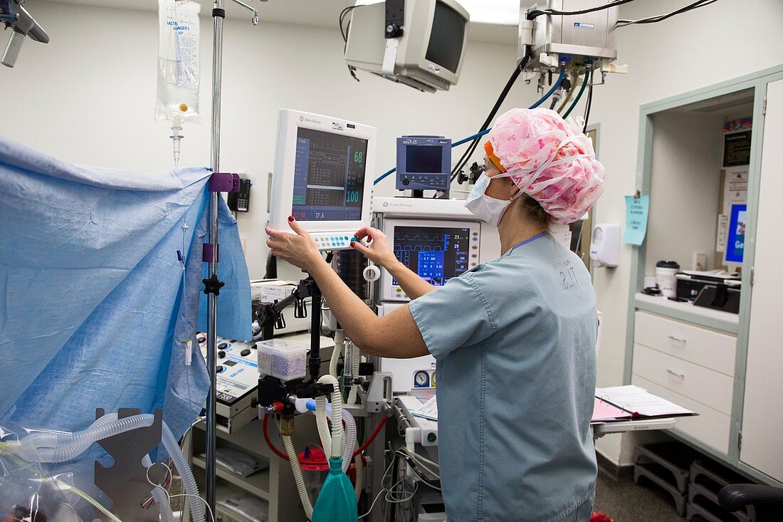 Anaesthetist checking vital signs