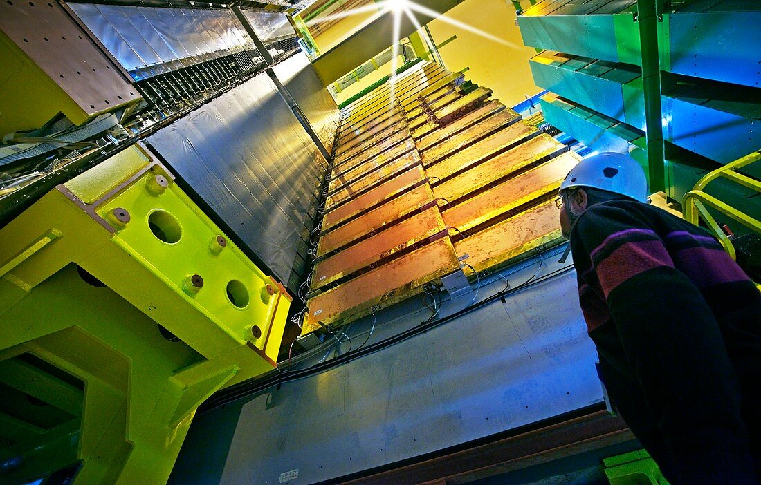 Large Hadron Collider Muon Detector