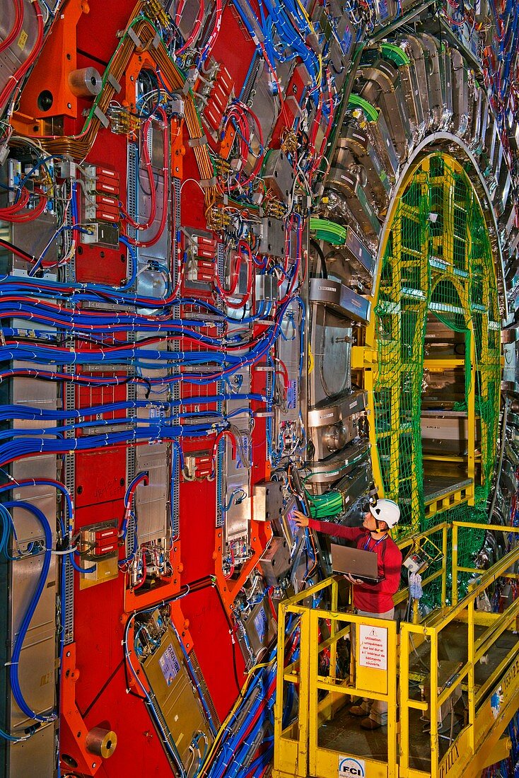 Large Hadron Collider - the CMS Detector
