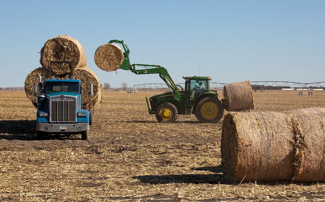 Loading bales of hay