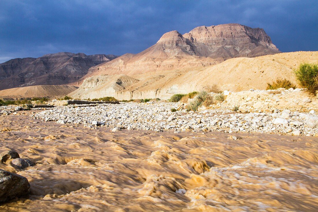 Desert flash flood