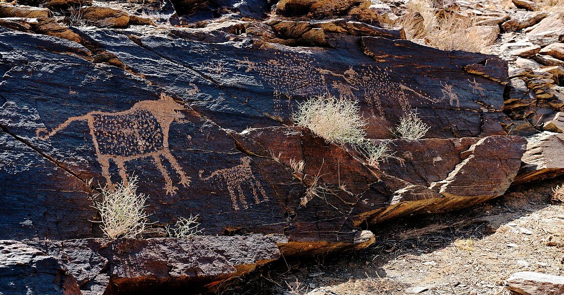 Prehistoric rock art