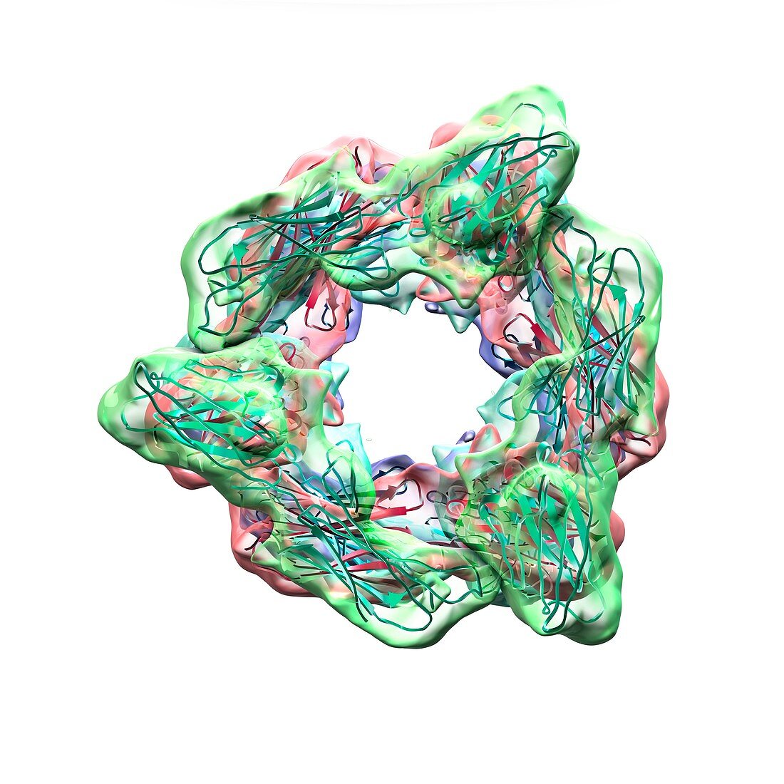Epstein Barr virus proteins,artwork