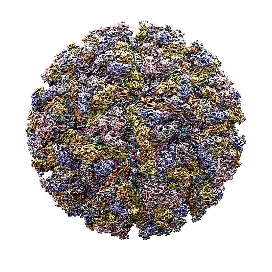Sindbis virus particle,artwork