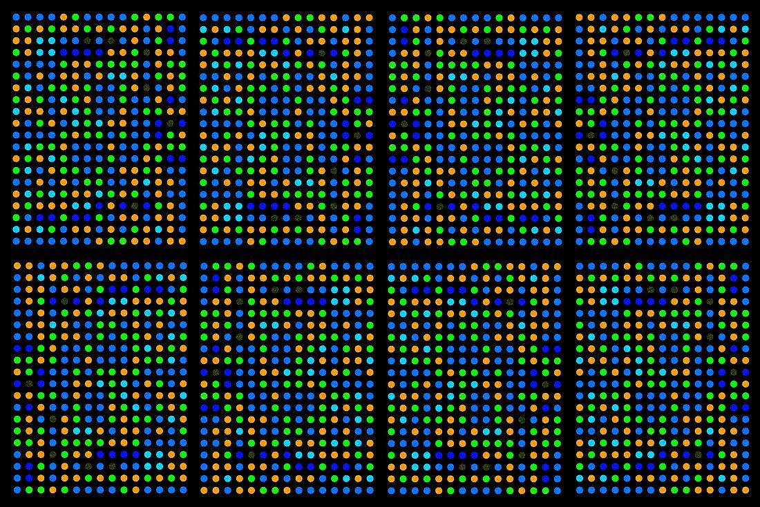 DNA microarray