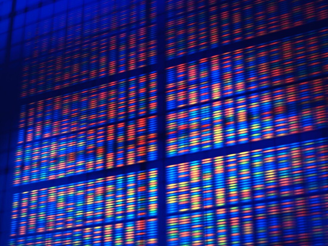 DNA microarray,artwork