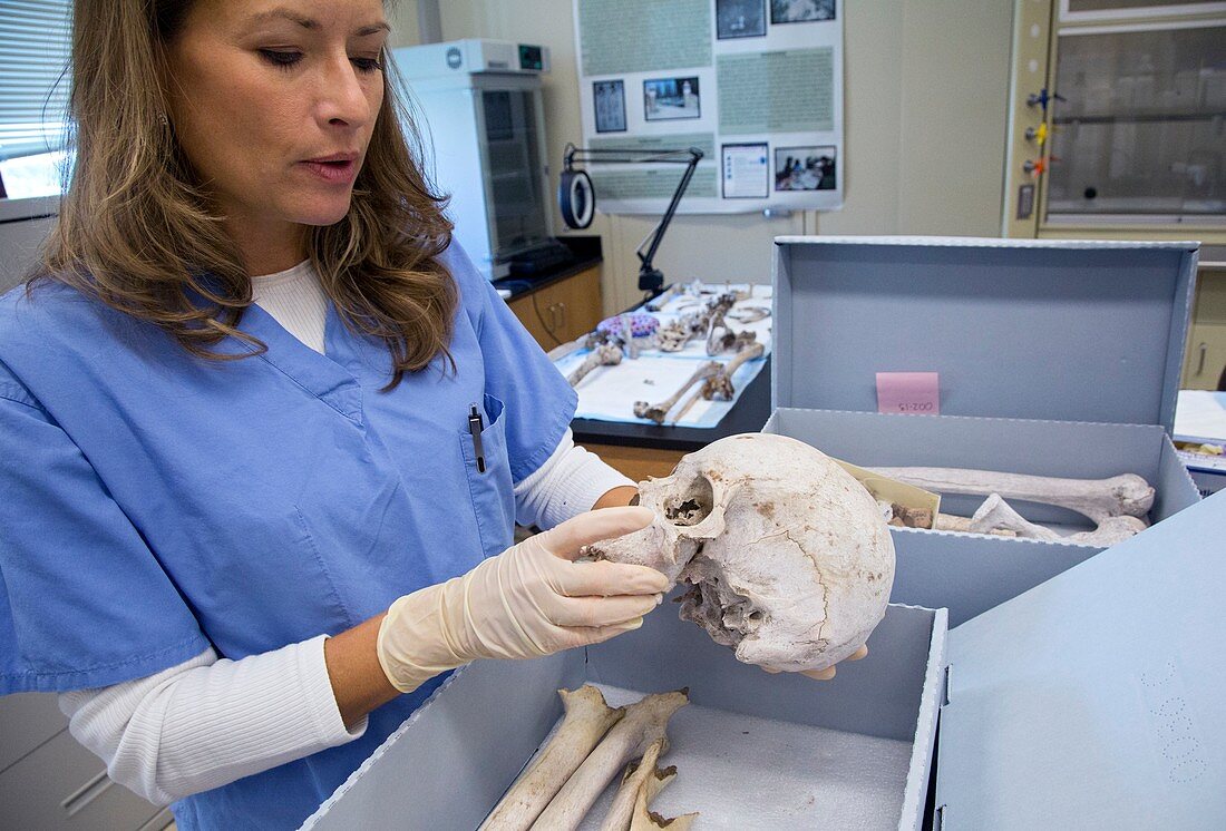 Forensic scientist identifying remains
