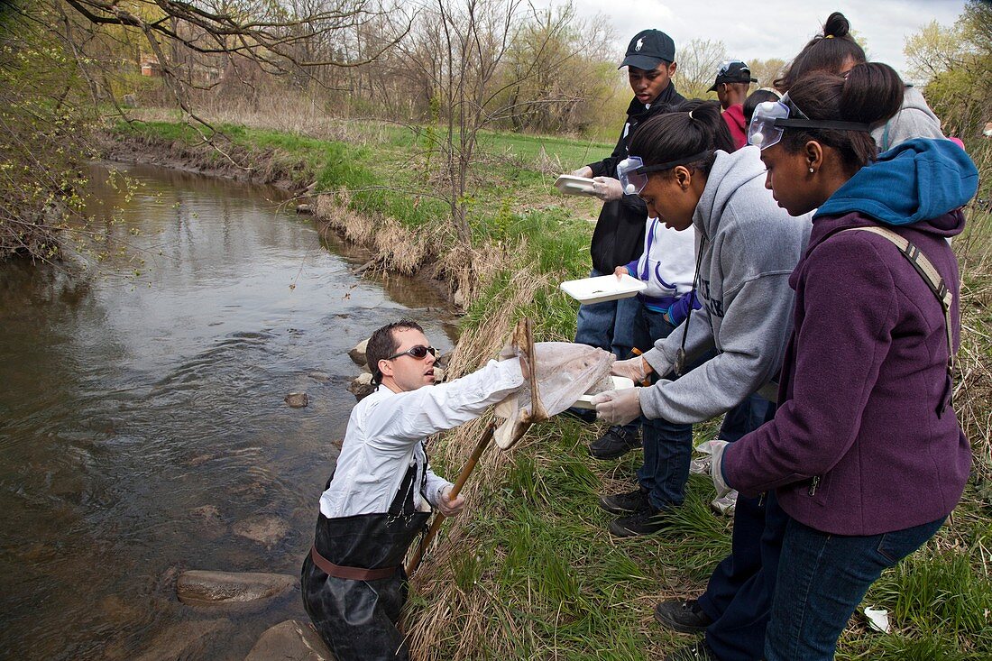 Students studying river ecology