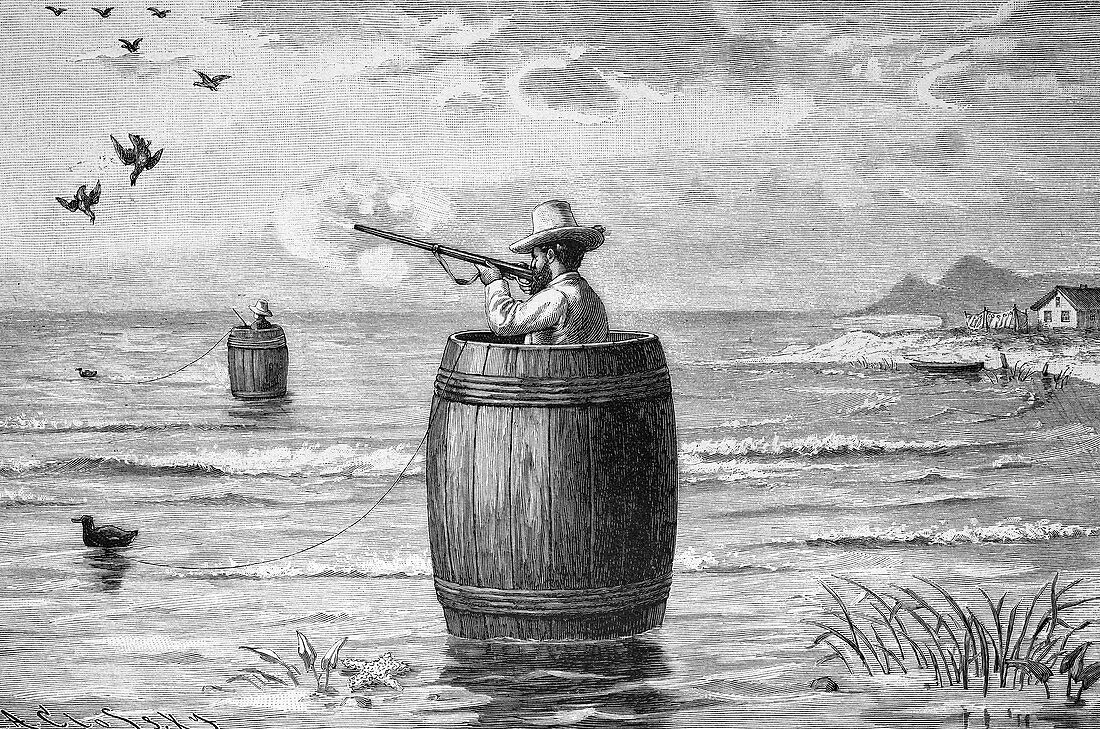 Duck hunting,19th century artwork