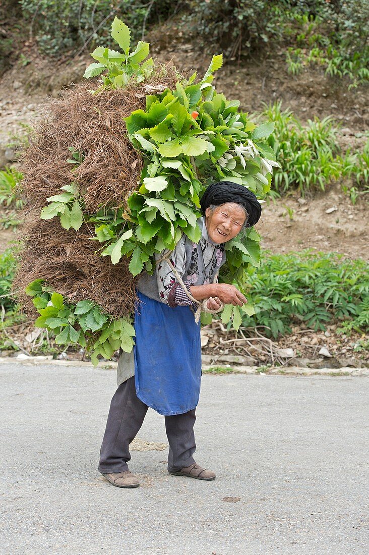 Aged Female Tibetan Subsistence Farmer