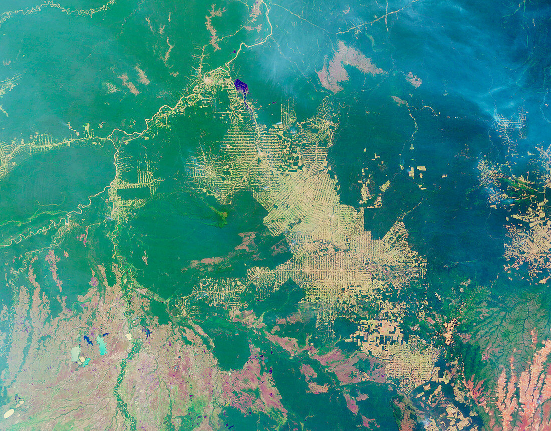 Deforestation in the Amazon,2001