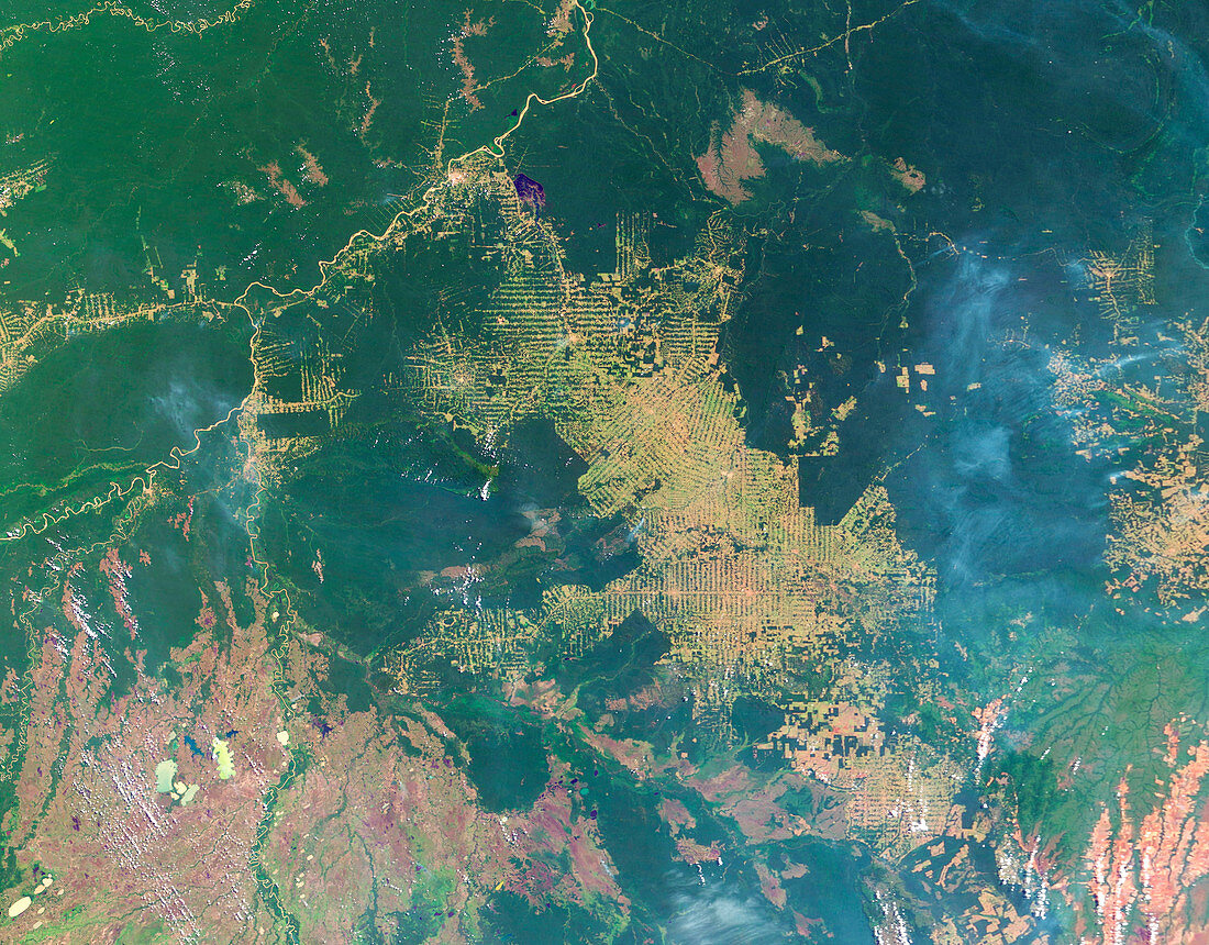Deforestation in the Amazon,2003
