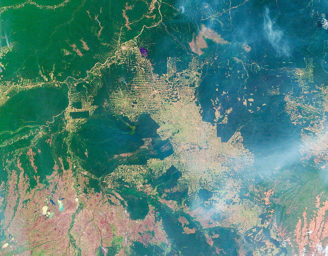 Deforestation in the Amazon,2005