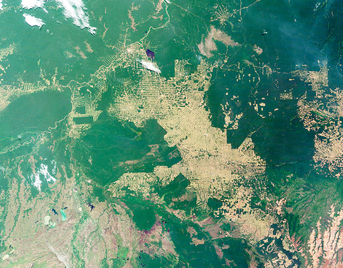 Deforestation in the Amazon,2008