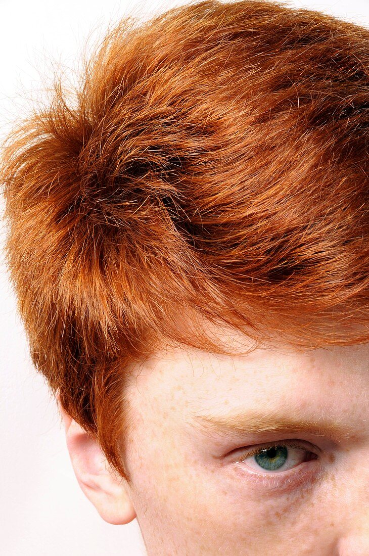 Red-haired teenage boy