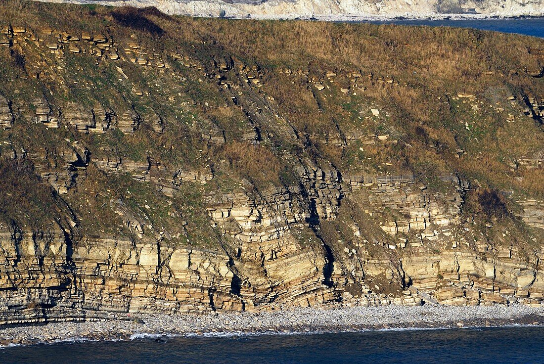 Durlston Cliff,Dorset