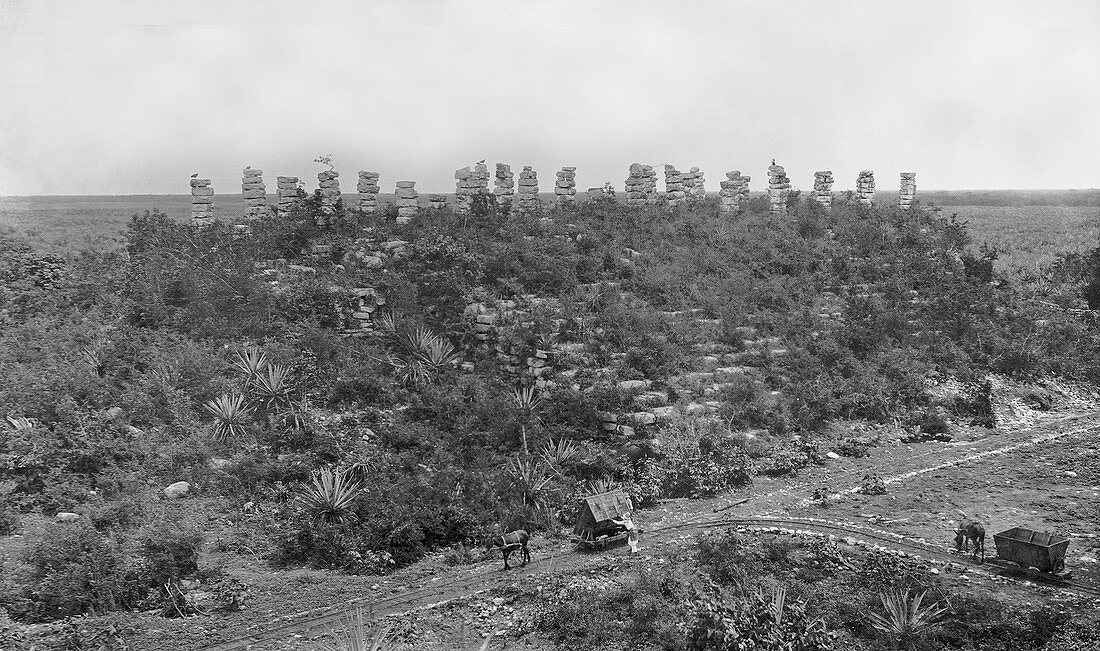 Mayan ruins,1910s