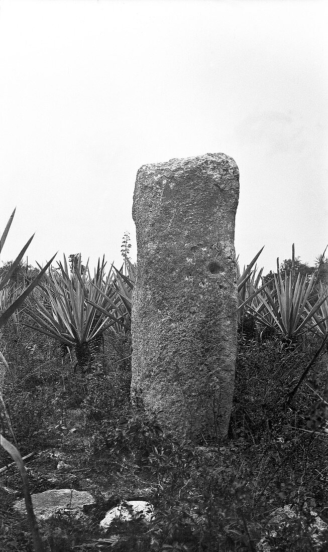 Mayan stele,1910s