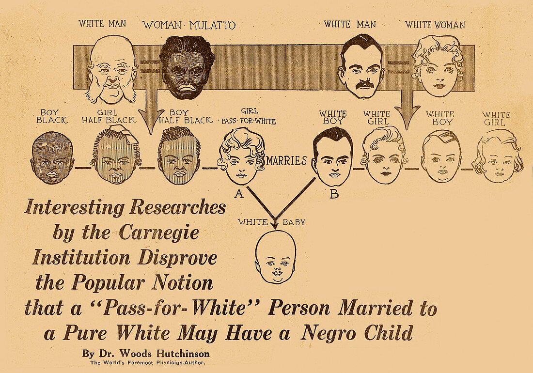 Eugenics research,1916