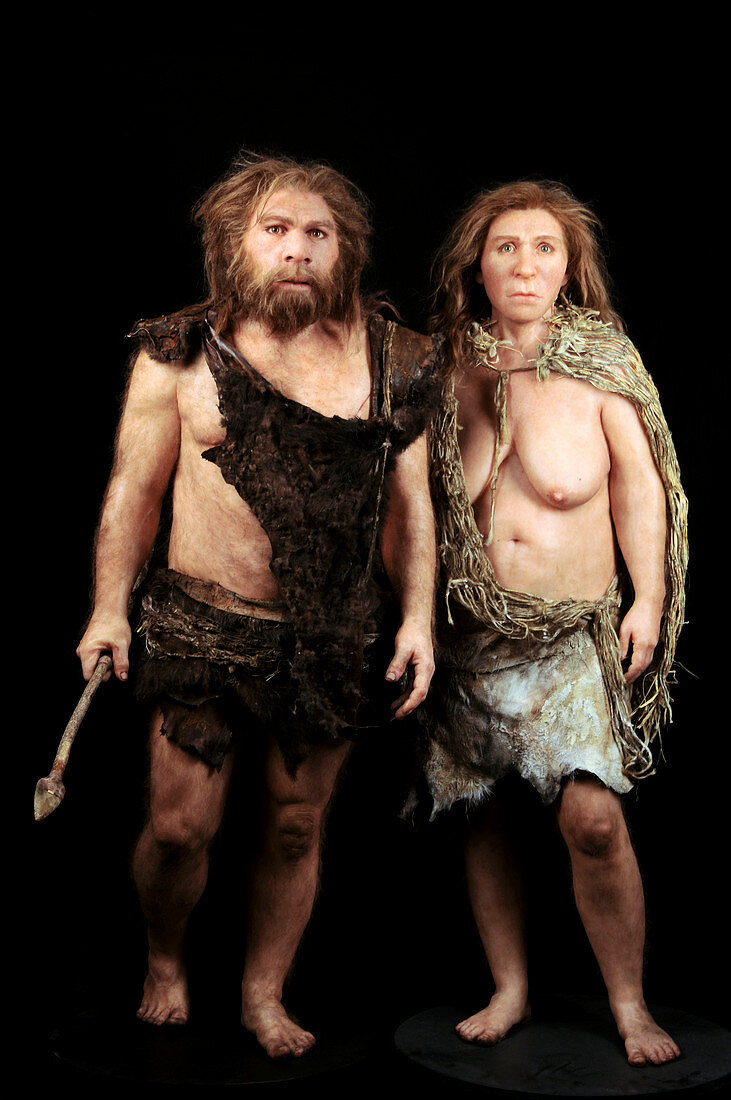 Neanderthal models