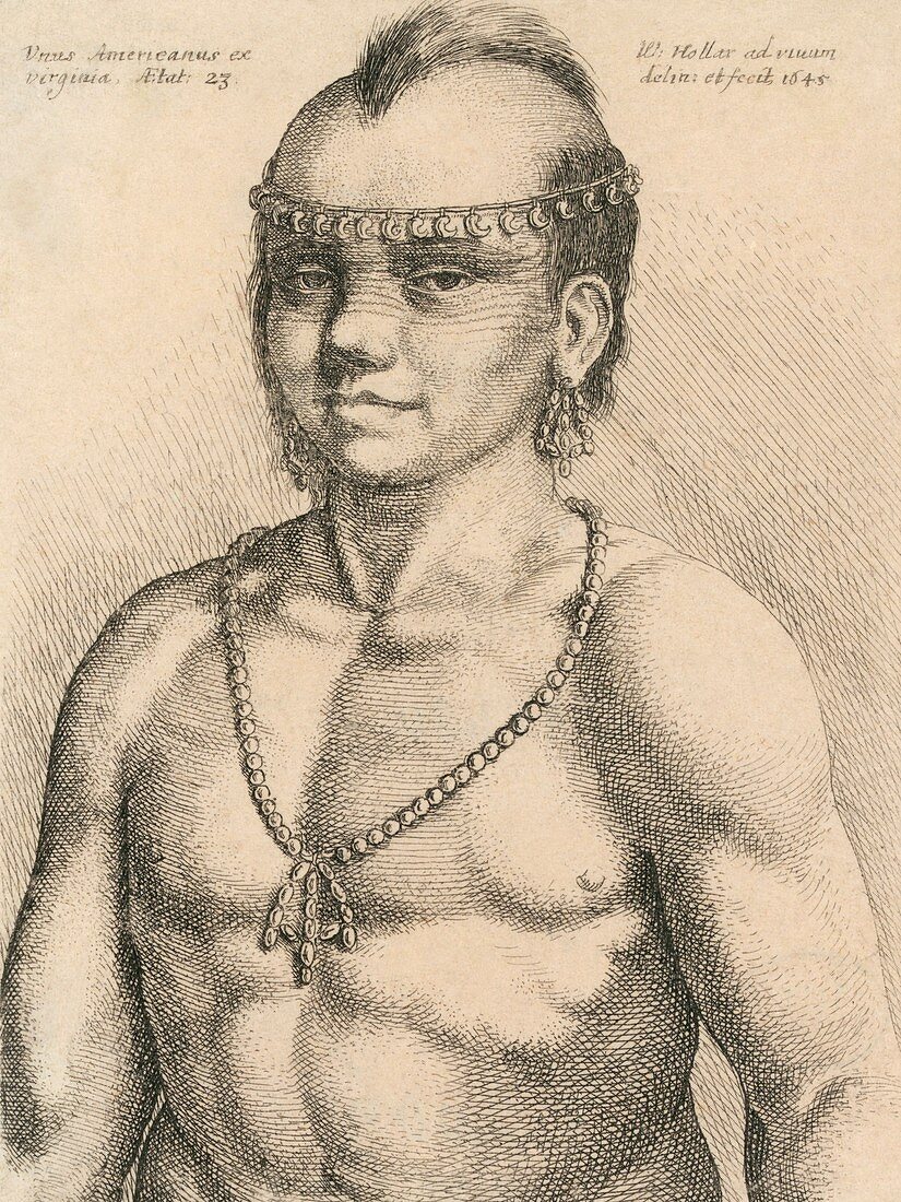 Young Native American man,17th Century