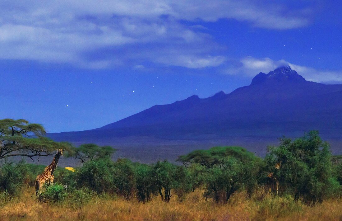 Mount Kilimanjaro,Kenya