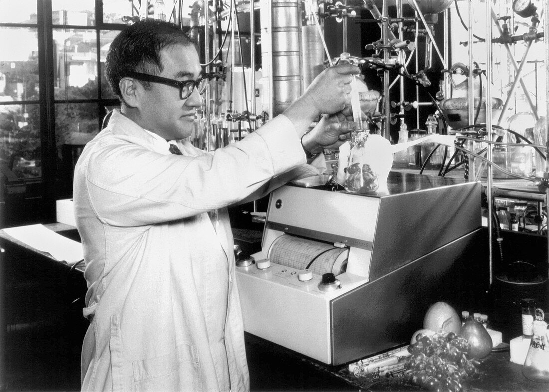 Gas chromatography food research,1963