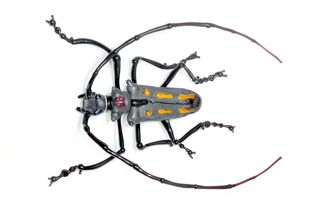 Longhorn beetle,glass sculpture