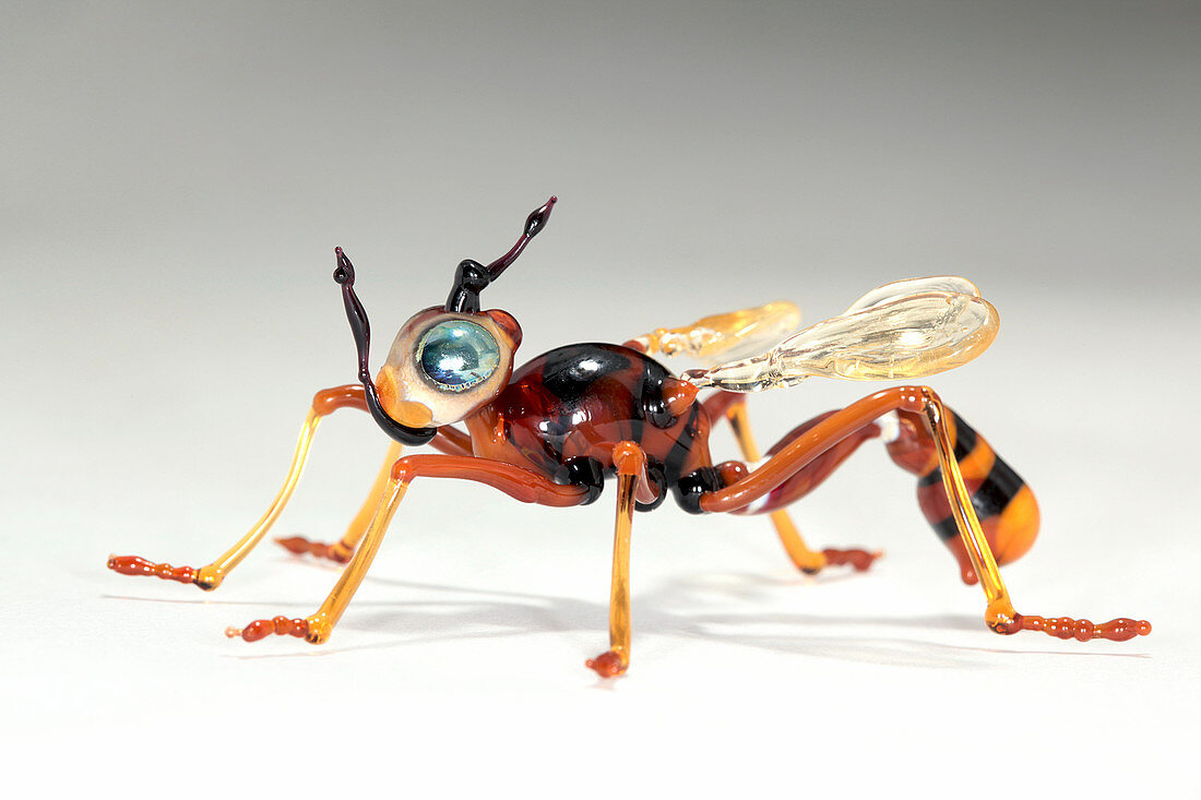 Wasp,glass sculpture