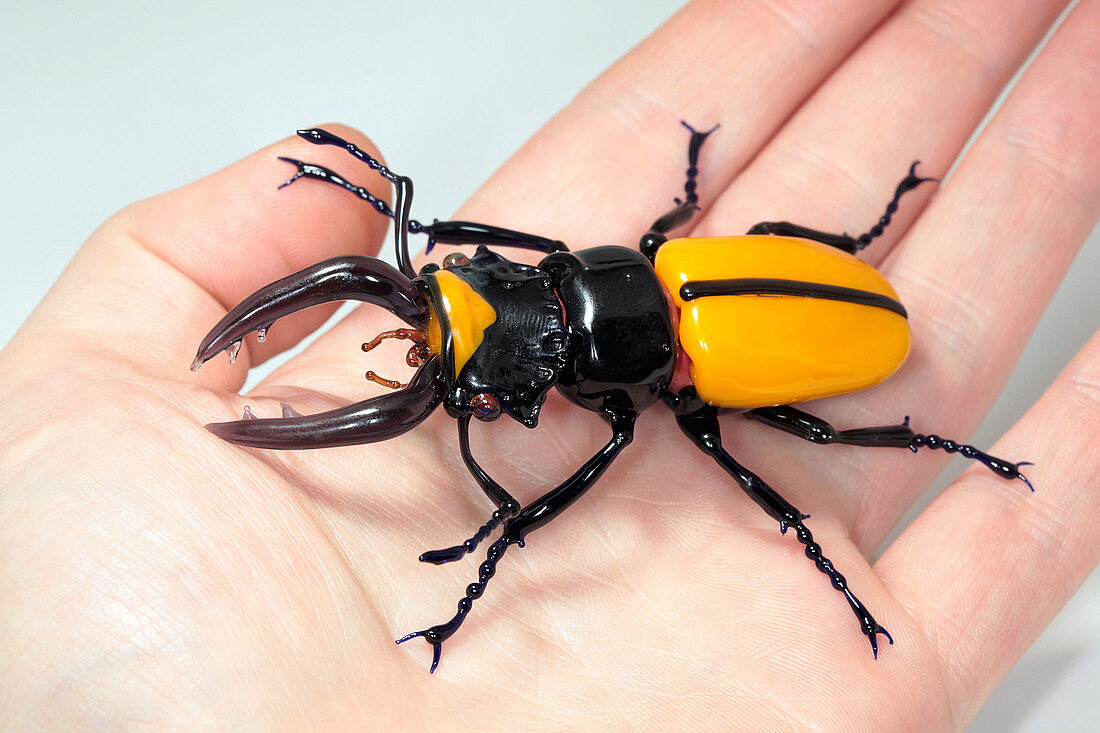 Stag beetle,glass sculpture