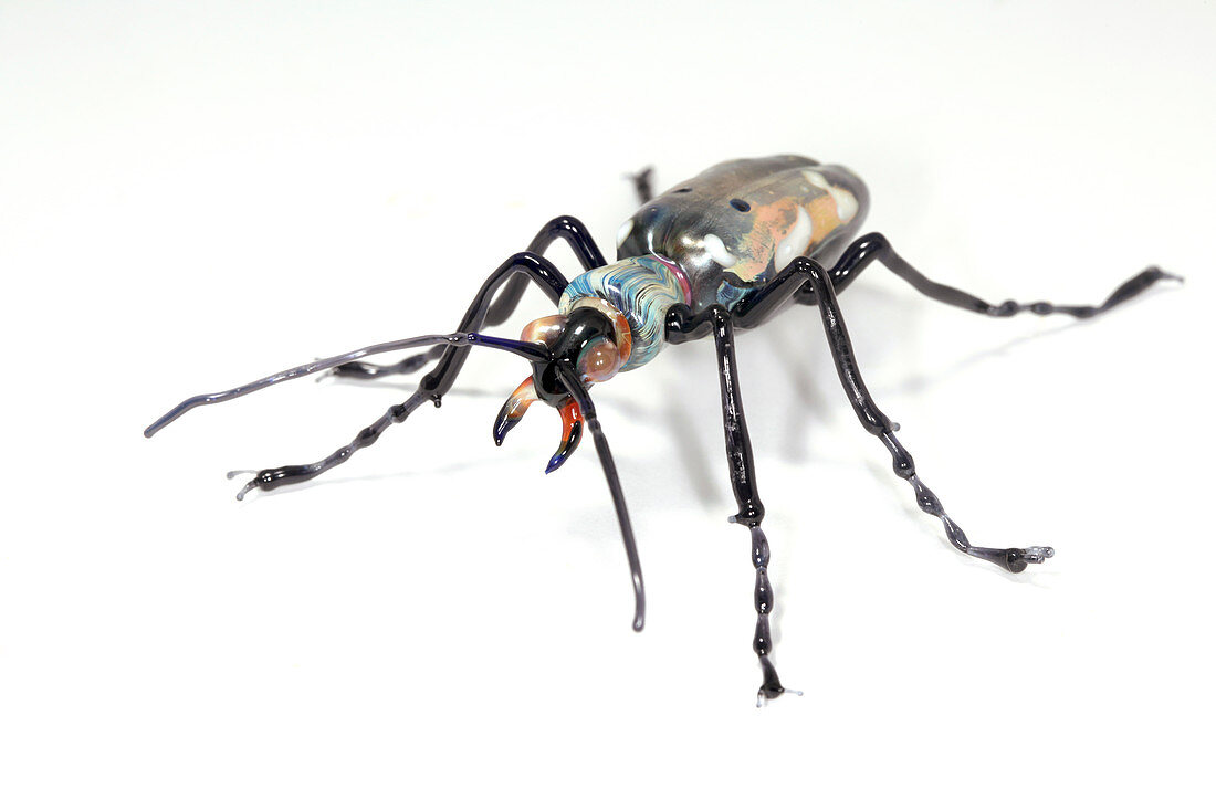 Beetle,glass sculpture