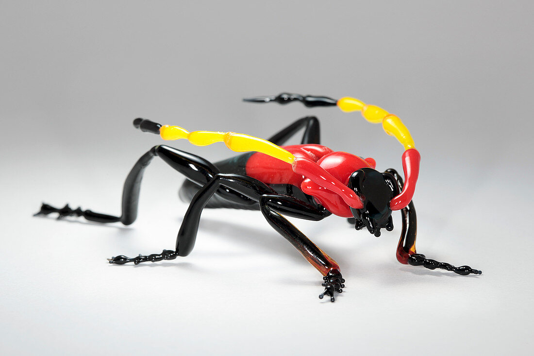 Beetle,glass sculpture