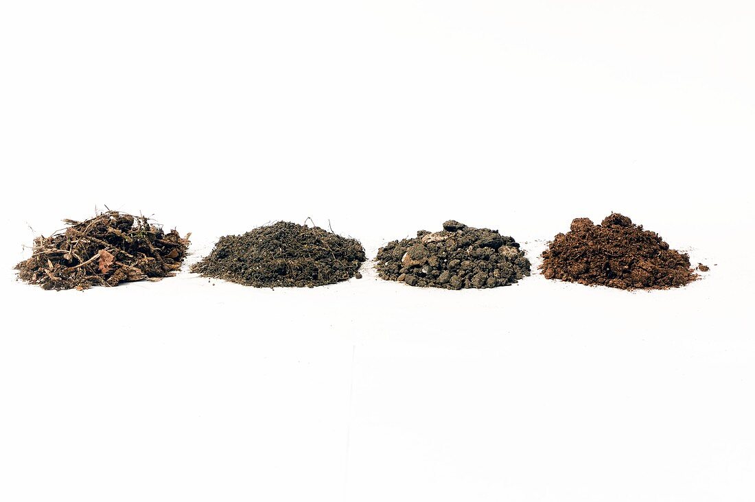 Four different types of soil