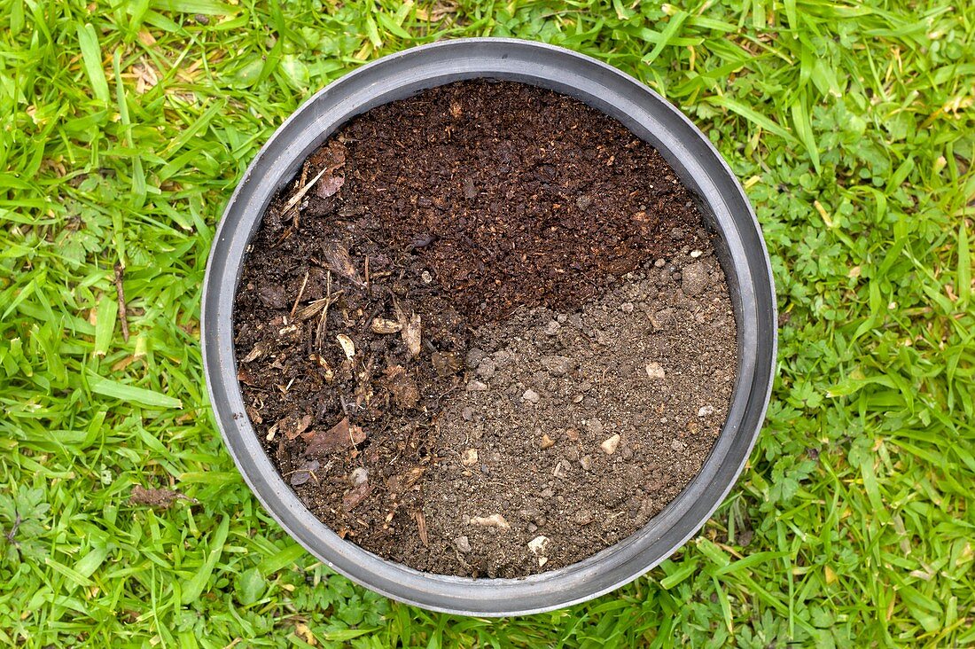 Properties of three different composts