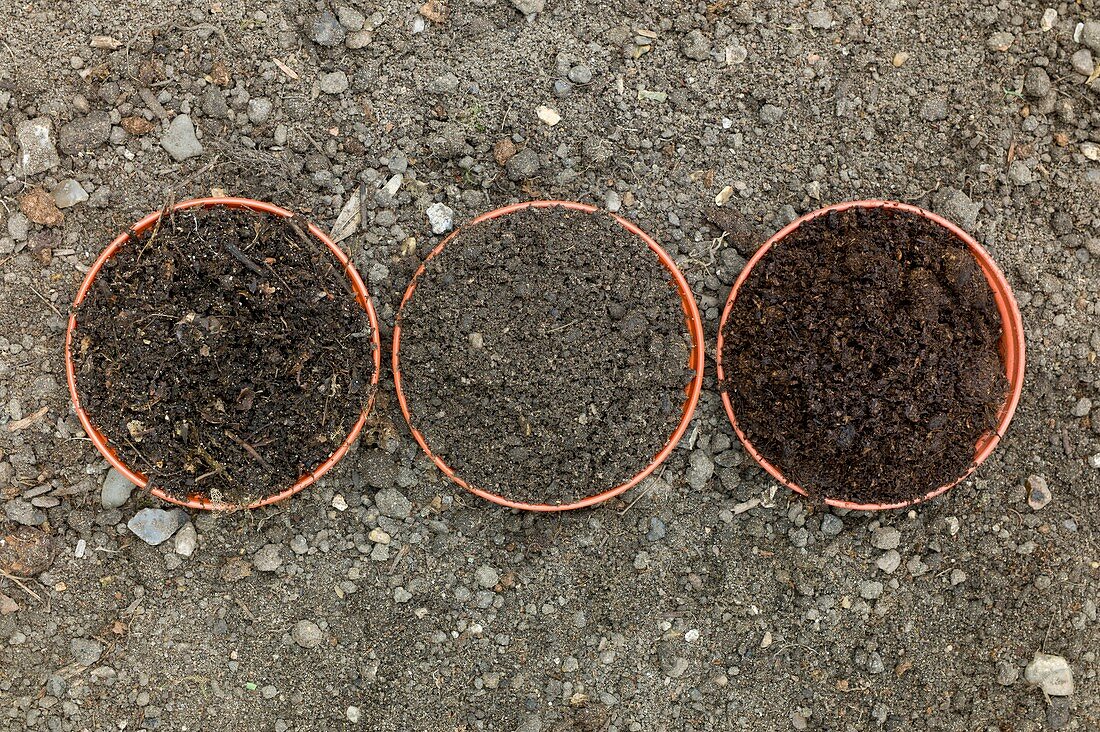 Comparison of composts to garden soil