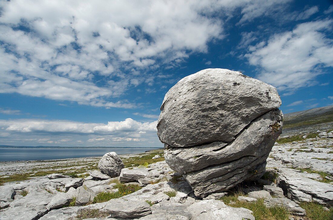 Limestone boulder at the Burren