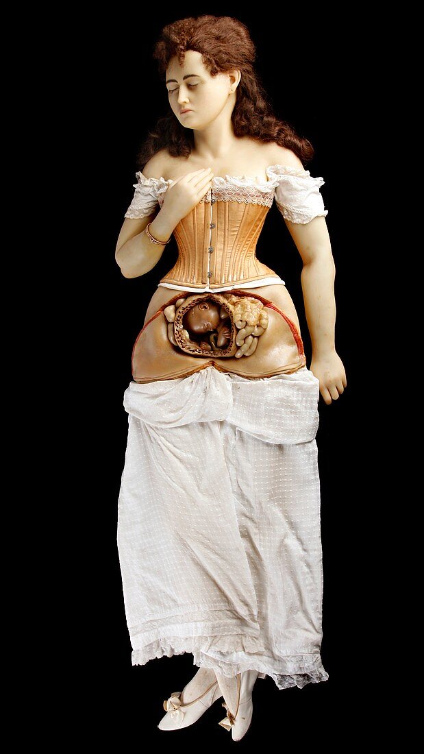 Anatomical model of pregnant woman,1850