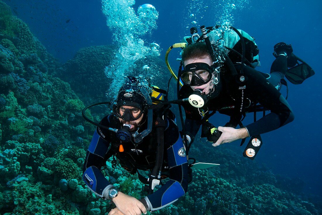 Diving student and instructor