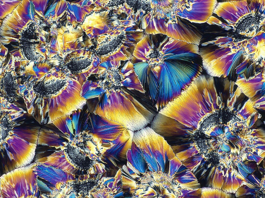Folic acid crystals,LM